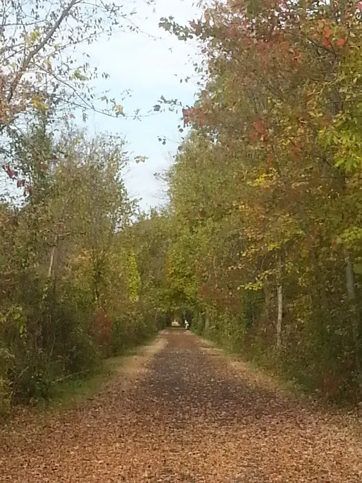 Creekside Crossing Picture 2