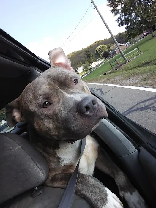 Creekside Crossing Picture 4