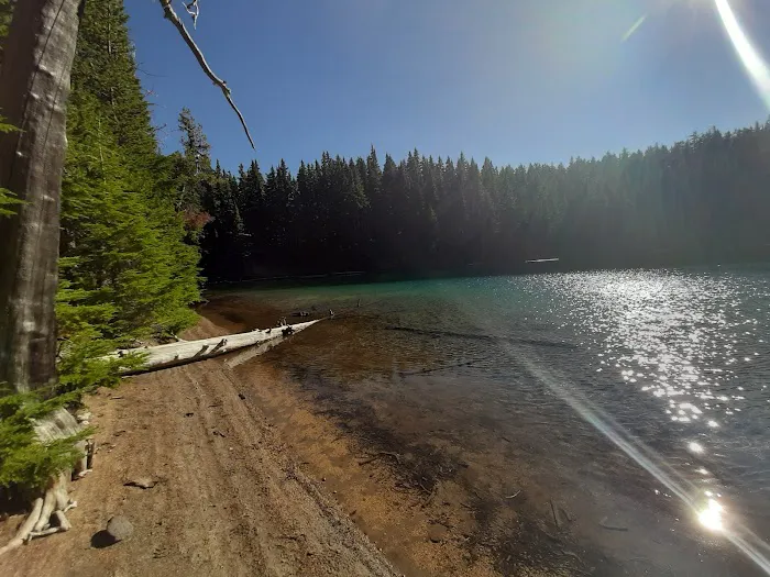 Pacific Crest Trailhead - Willamette Pass Picture 1