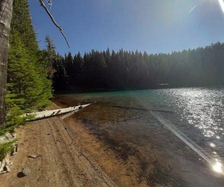 Pacific Crest Trailhead - Willamette Pass