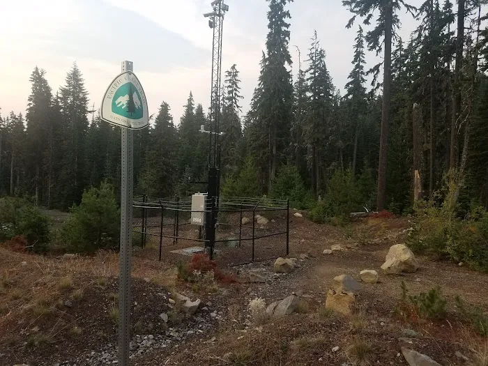 Pacific Crest Trailhead - Willamette Pass Picture 3