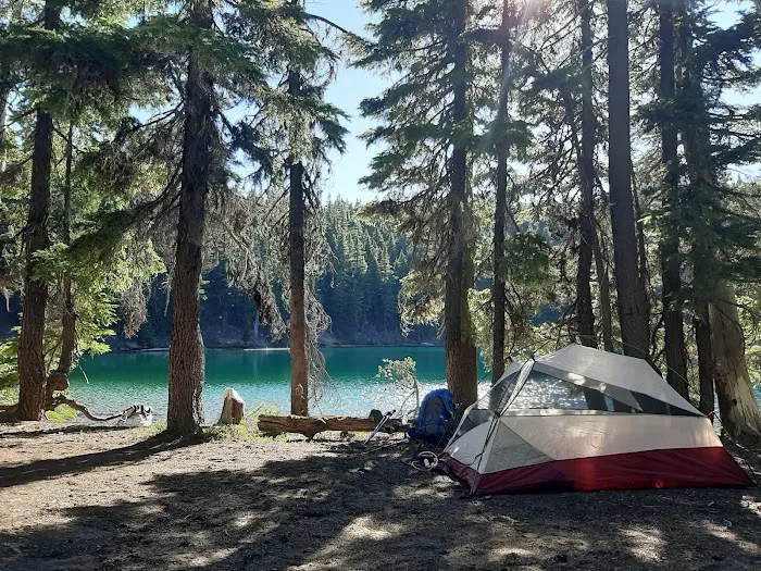 Pacific Crest Trailhead - Willamette Pass Picture 8