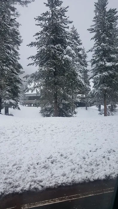 Pacific Crest Trailhead - Willamette Pass Picture 2