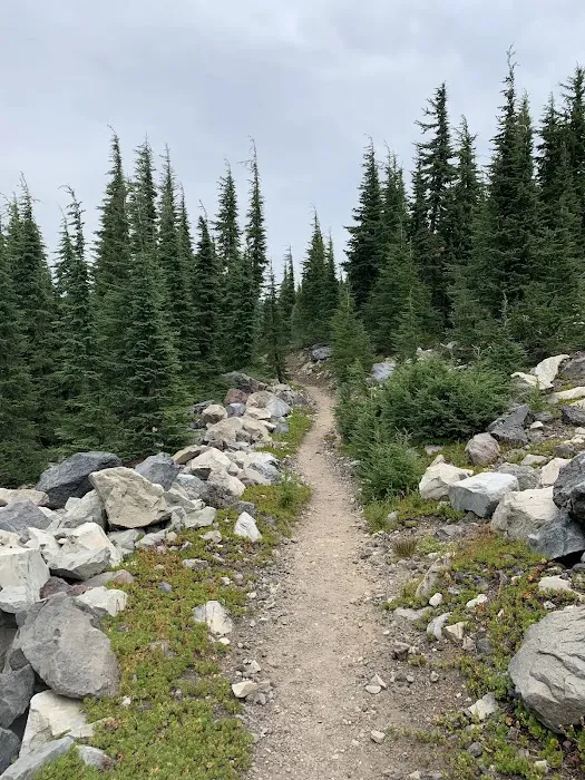 Pacific Crest Trailhead - Willamette Pass Picture 5