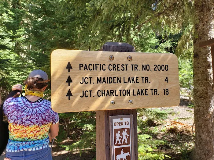 Pacific Crest Trailhead - Willamette Pass Picture 9