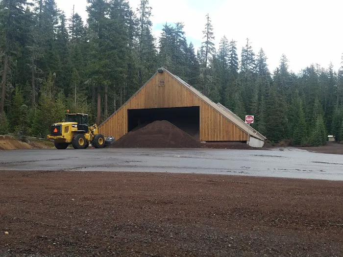 Pacific Crest Trailhead - Willamette Pass Picture 10