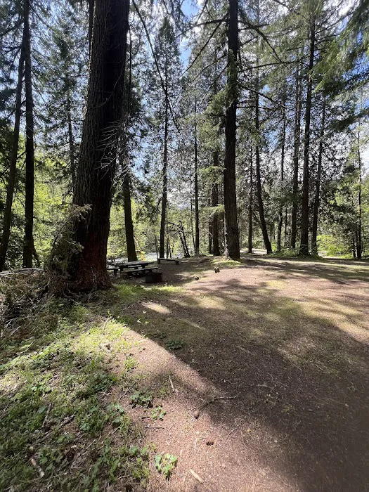 Campers Flat Campground Picture 5