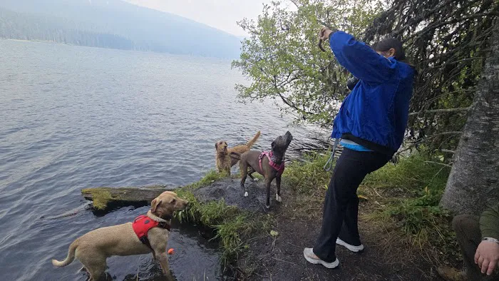 Trapper Creek Campground Picture 2