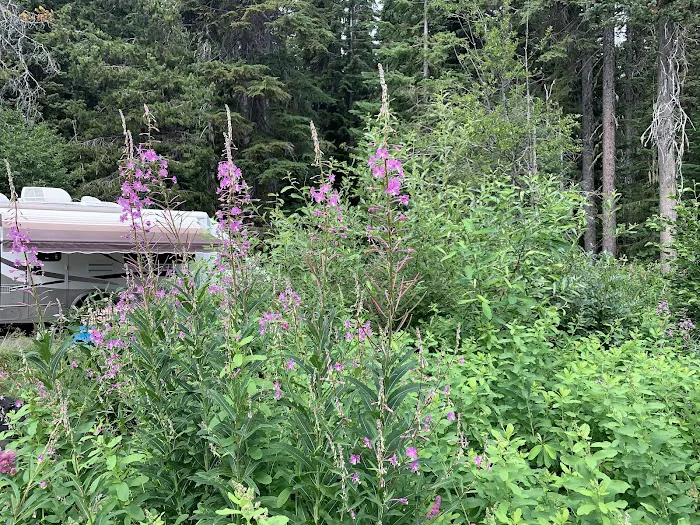 Trapper Creek Campground Picture 9