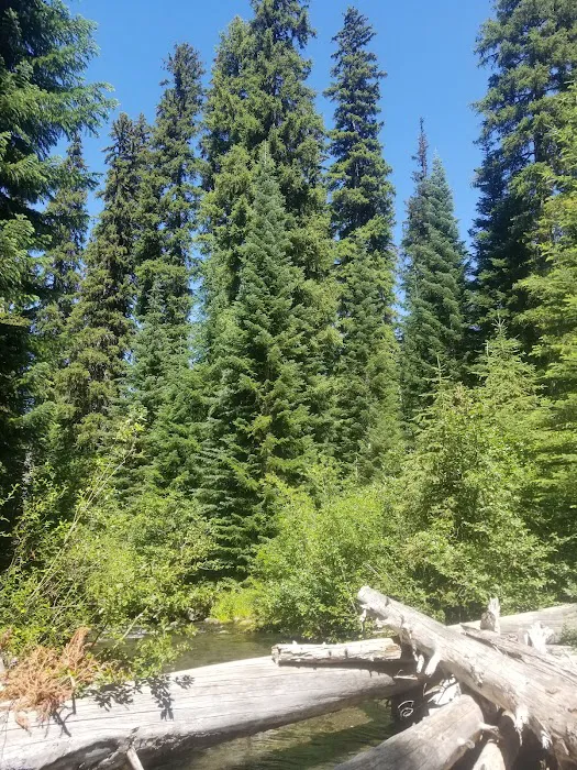 Trapper Creek Campground Picture 10