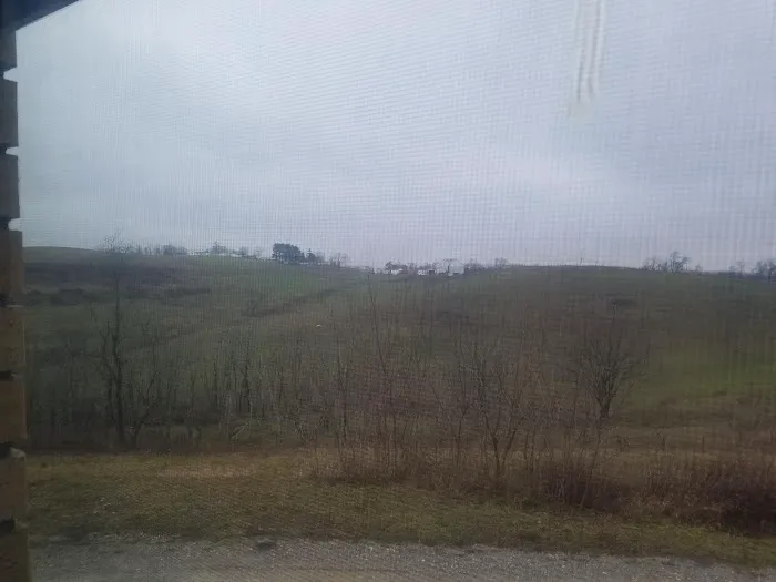 Ridge View Acres Picture 8