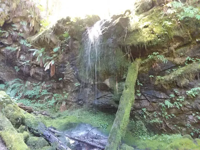 Hobo Camp Campground Picture 9