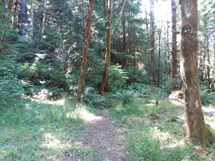 Hobo Camp Campground Picture 10