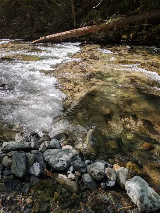 Hobo Camp Campground Picture 5