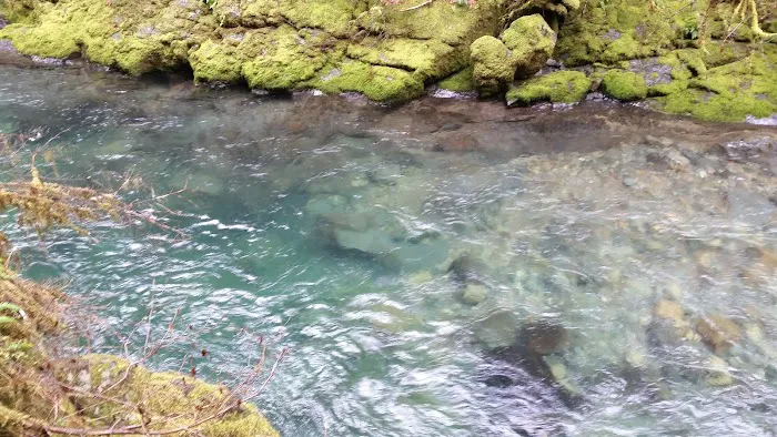 Hobo Camp Campground Picture 4