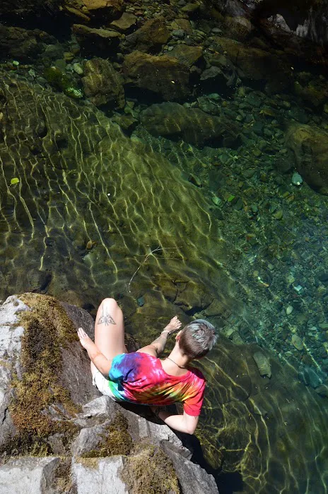 Hobo Camp Campground Picture 7