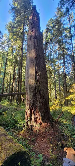 Lund Park Campground Picture 5