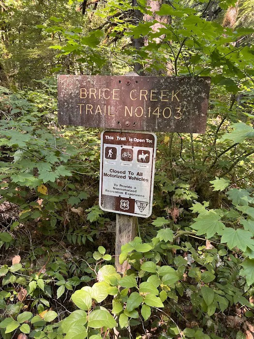 Lund Park Campground Picture 7