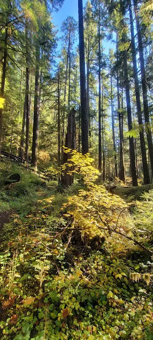 Lund Park Campground Picture 1