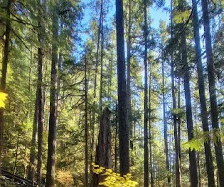 Lund Park Campground