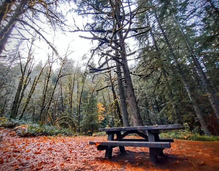 Lund Park Campground Picture 10