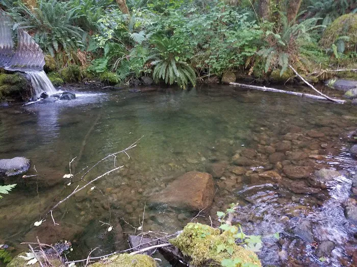 Lund Park Campground Picture 8