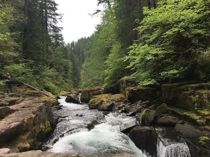 Cedar Creek Campground Picture 7