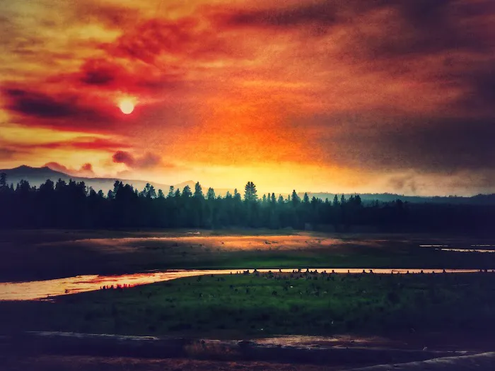 Cedar Creek Campground Picture 5