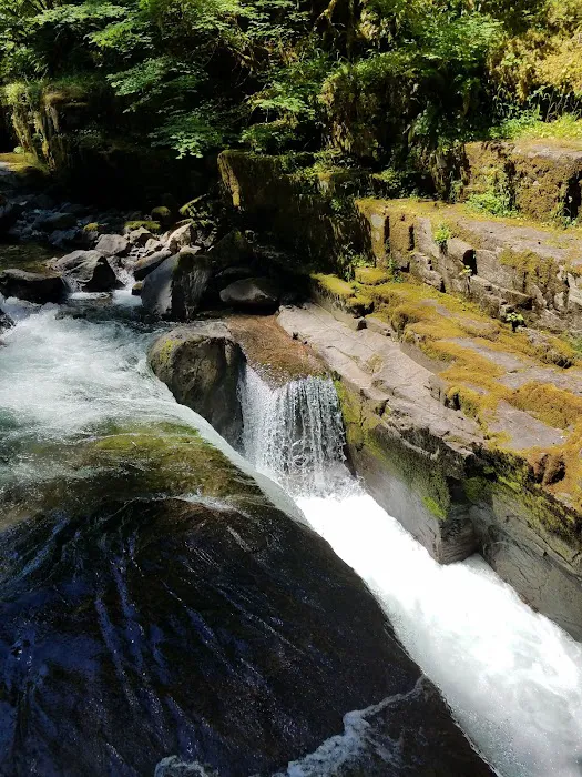 Cedar Creek Campground Picture 3