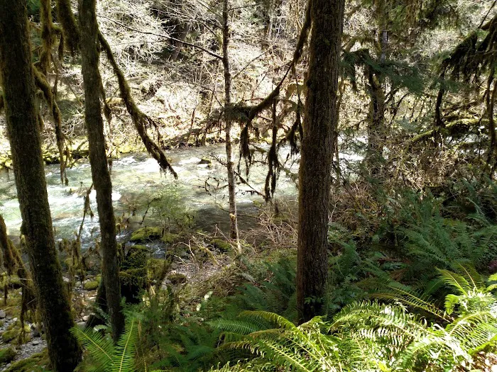 Cedar Creek Campground Picture 1