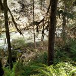 Cedar Creek Campground