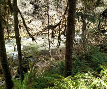 Cedar Creek Campground