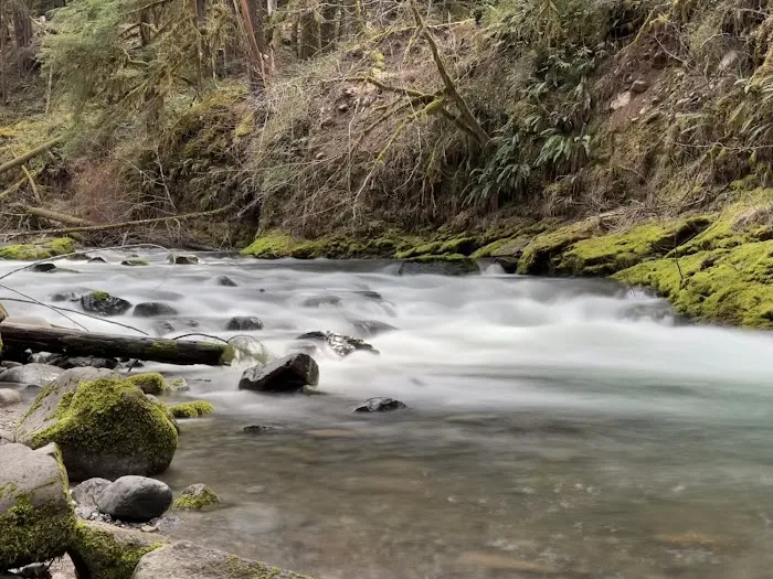 Cedar Creek Campground Picture 4