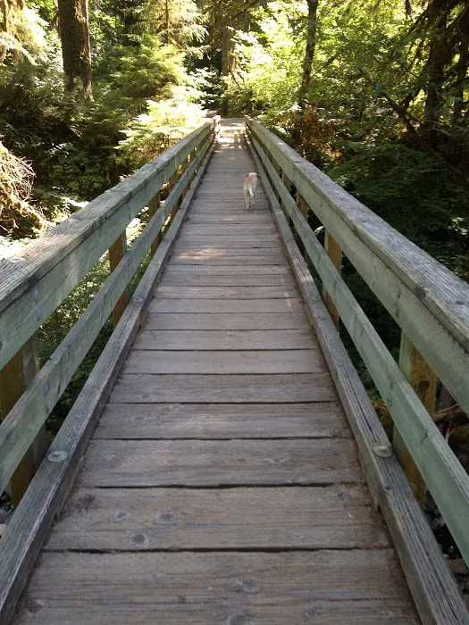 Cedar Creek Campground Picture 6