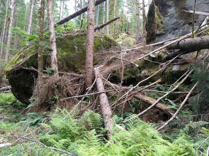 Rujada Campground Picture 9