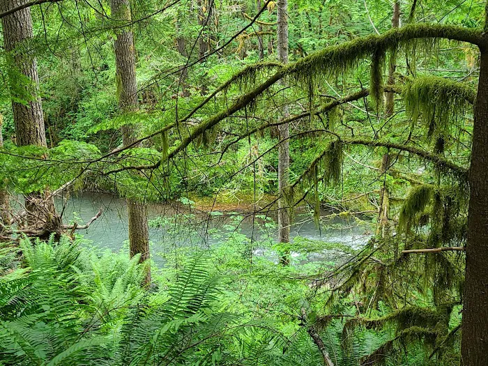 Rujada Campground Picture 10