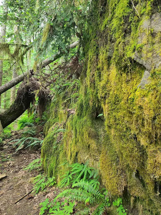 Rujada Campground Picture 7