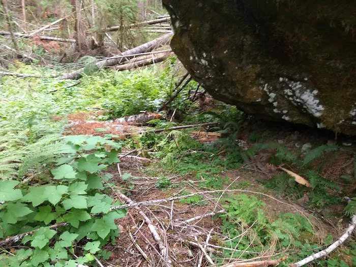 Rujada Campground Picture 4