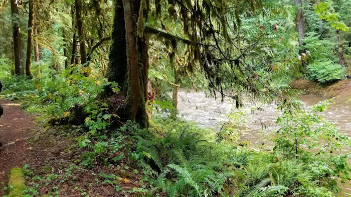 Broken Bowl Campground Picture 4