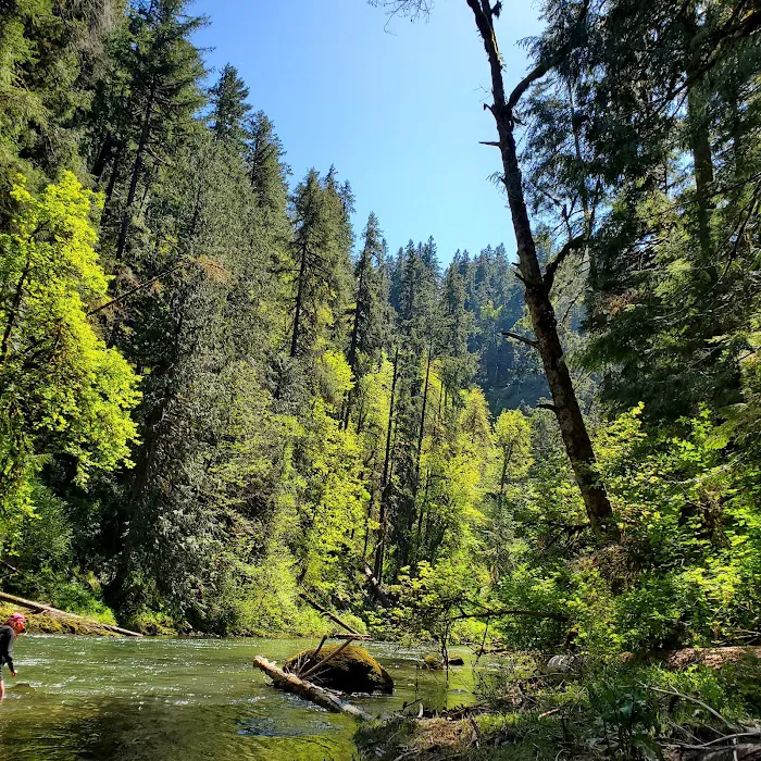 Broken Bowl Campground Picture 6