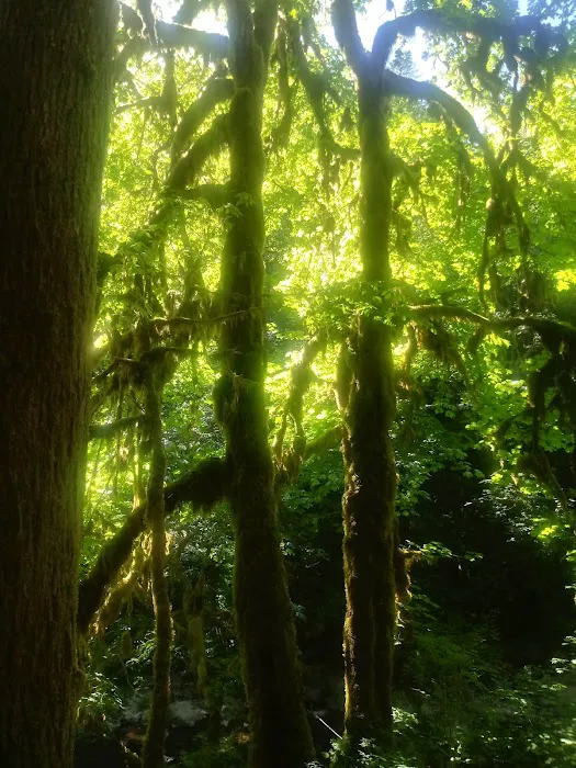 Broken Bowl Campground Picture 2