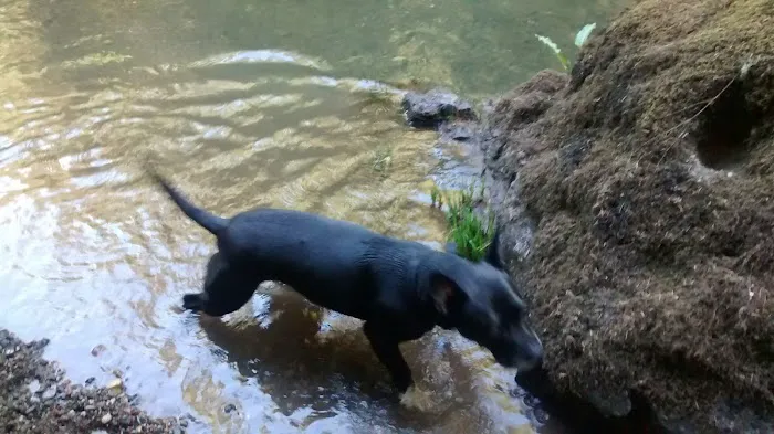 Broken Bowl Campground Picture 8