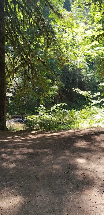 Broken Bowl Campground Picture 7