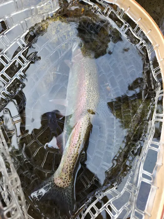 Broken Bowl Campground Picture 1