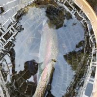 Broken Bowl Campground ico