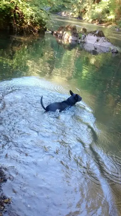 Broken Bowl Campground Picture 10