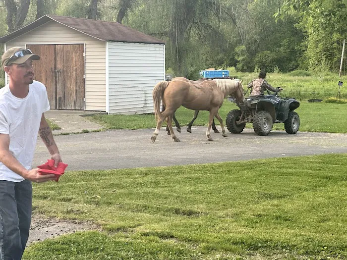 Lemley RV & Mobile Home Park Picture 5