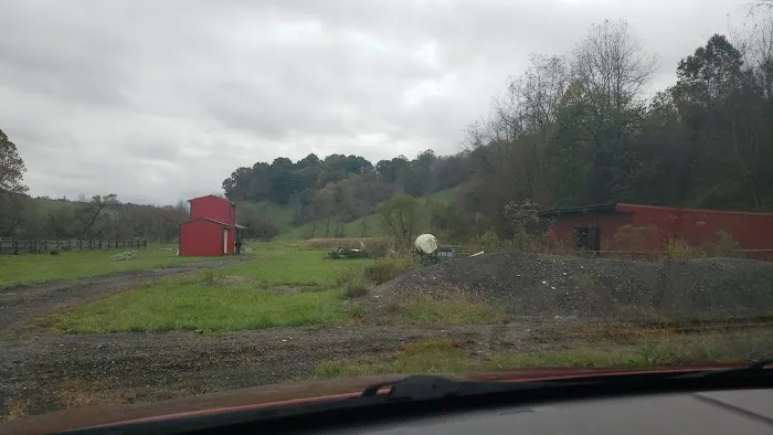 Lemley RV & Mobile Home Park Picture 4