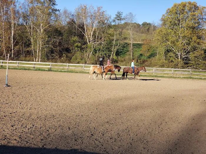 Lemley RV & Mobile Home Park Picture 7