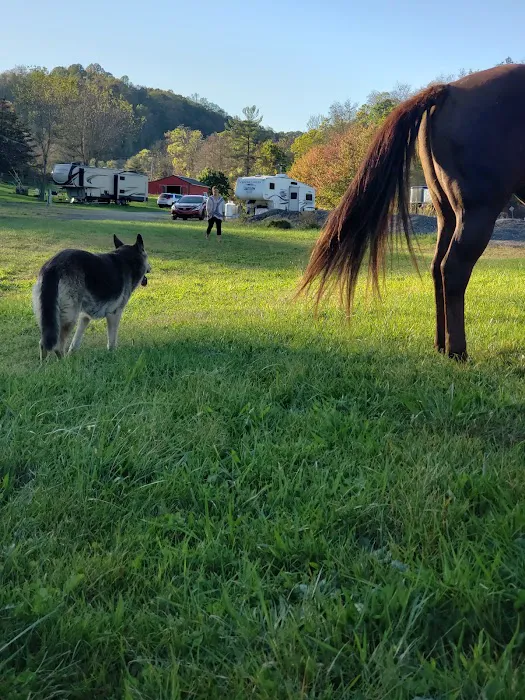 Lemley RV & Mobile Home Park Picture 10